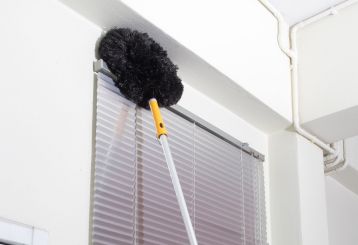 Eco-conscious cleaning for window blinds.